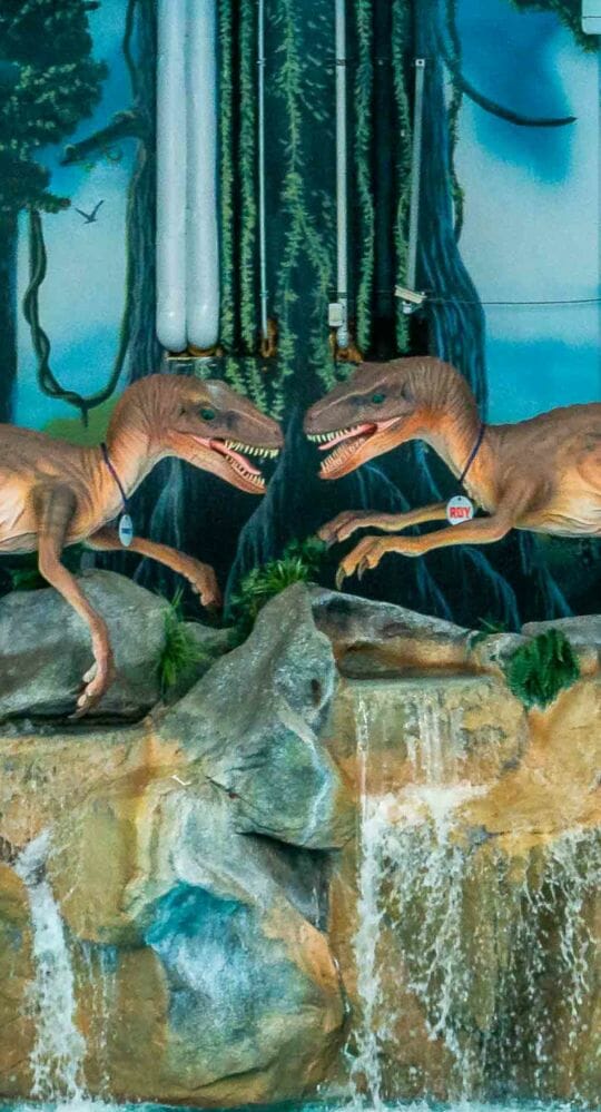 Raptor mascots by raptor reef wave pool