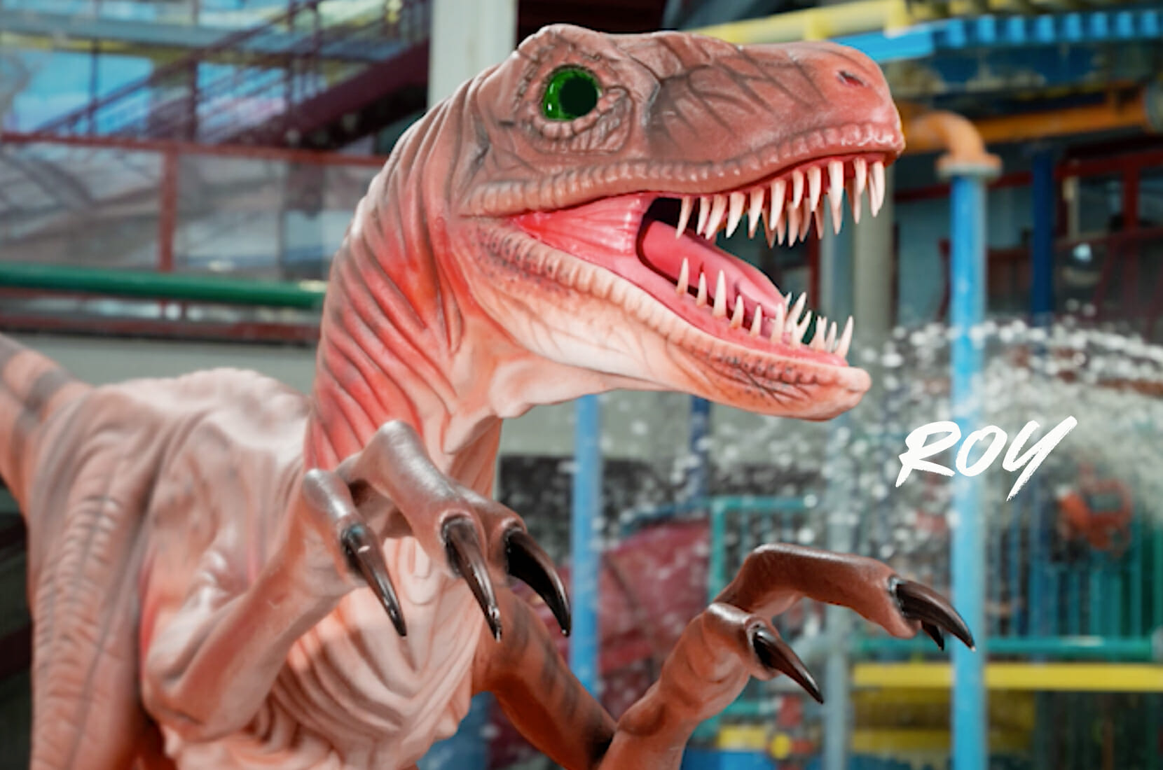 Roy the Raptor