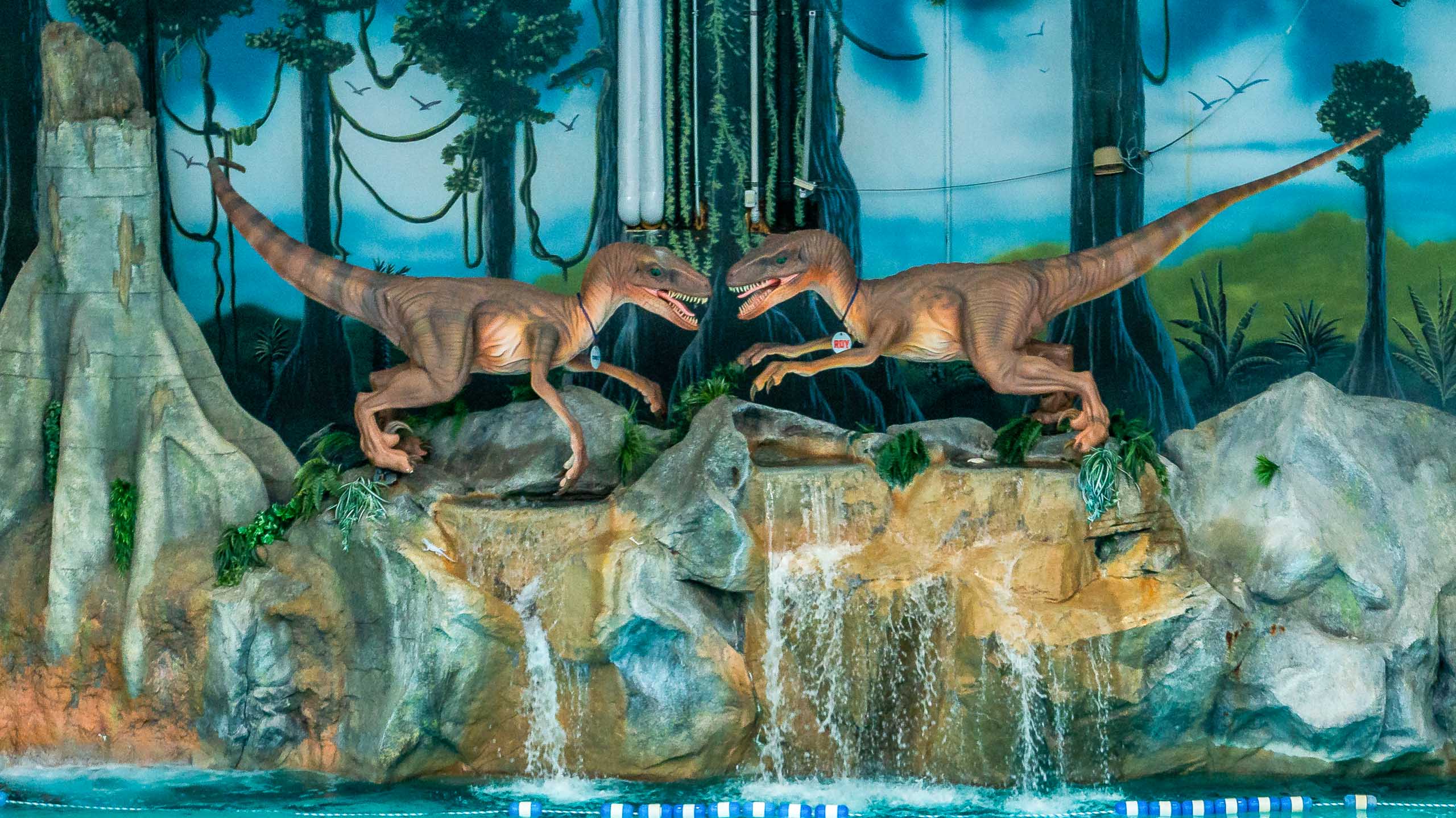 Raptor mascots by raptor reef wave pool